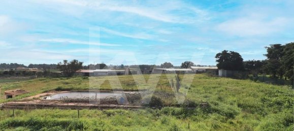 4 غرف نوم منزل في Alcochete, Portugal رقم 71024 41