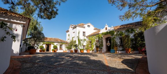 Вилла с 7 спальнями в Эль Мадрональ, Испания № 138575 13