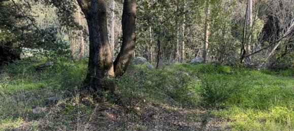  Land in Barbaggio, France No. 73989 4