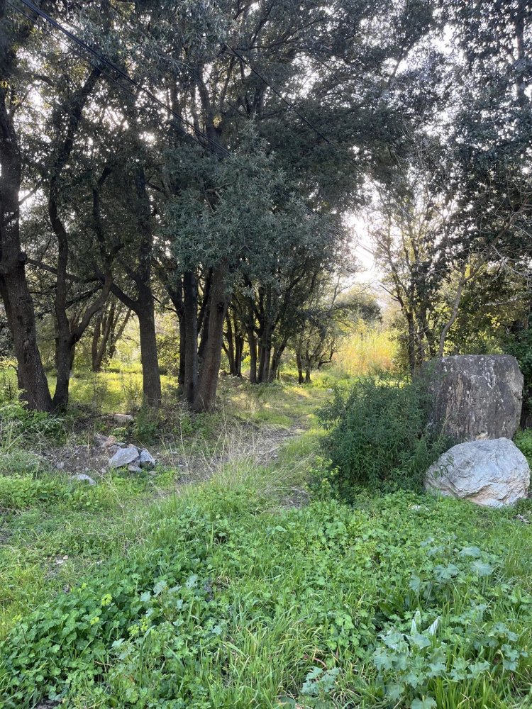  Land in Barbaggio, France No. 73989