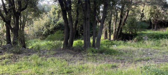  Land in Barbaggio, France No. 73989 2