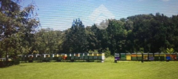 5 rooms House in Bricherasio, Italy No. 254141 7