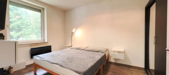 Квартира с 1 спальней в Баден-Вюртемберг, Германия № 32308 7