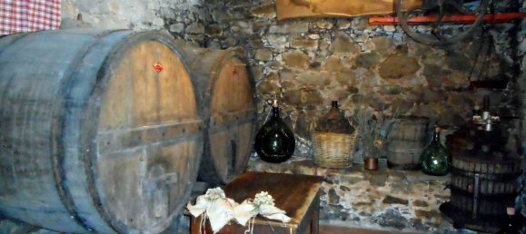 Дом с 15 комнатами в Баньи ди Лукка, Италия № 168273 22