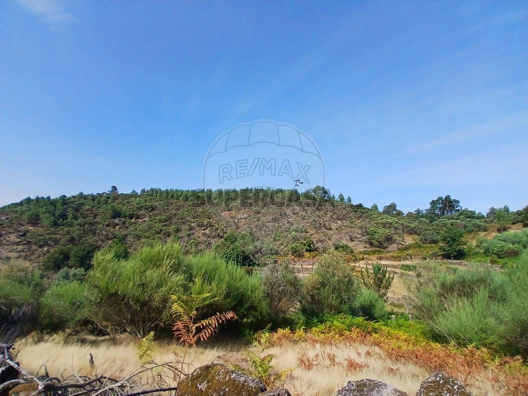 Land in Soajo, Portugal No. 221121