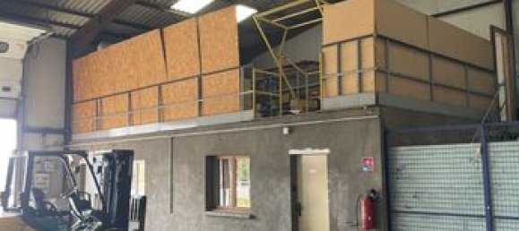 Gewerbliche Immobilie in Haute-Saone, France 700m², Nr. 306917 15