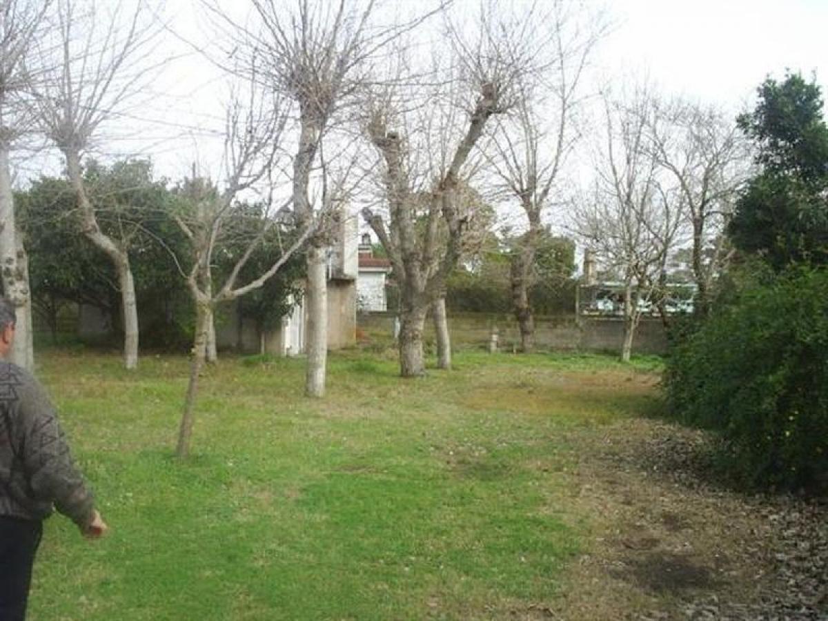 770m² Building in Mar del Plata, Argentina No. 109933