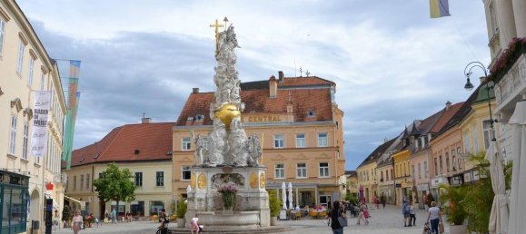 3 rooms Apartment in Baden, Austria No. 170204 9