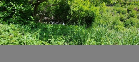 Moradia em banda T3 em Cantal, France N.º 284272 10