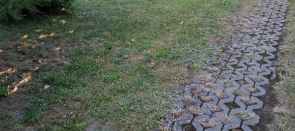 10-salle Maison de ville à Vorpommern-Greifswald, Germany No. 236678 2