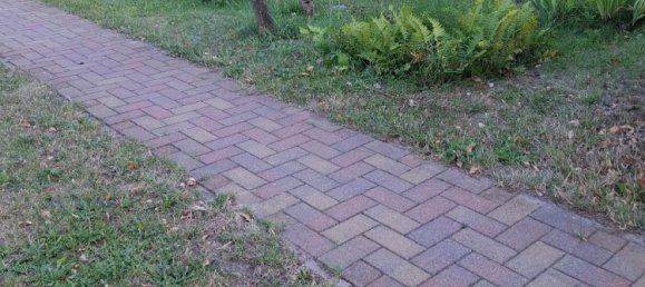 10-salle Maison de ville à Vorpommern-Greifswald, Germany No. 236678 3