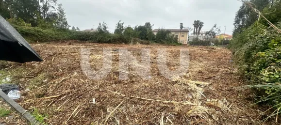 Land in Rio Meao, Portugal No. 79468 3