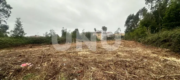 Land in Rio Meao, Portugal No. 79468 4