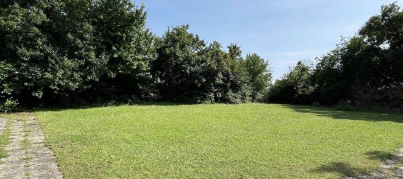 Grundstück in Neusiedl am See, Austria, Nr. 134569 4