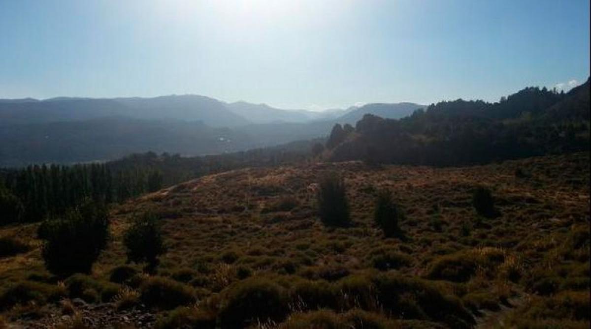 Terrain à Neuquen, Argentina No. 48838