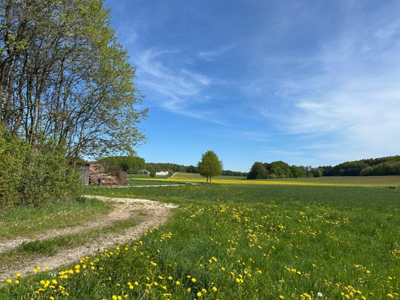 Terreno em Regensburg, Germany N.º 365283