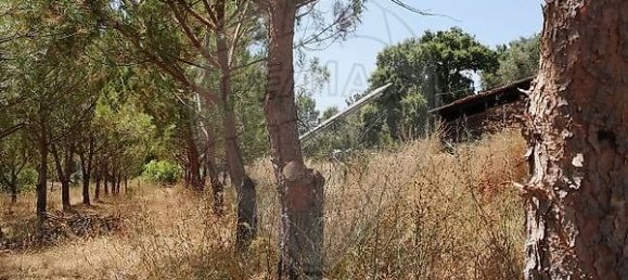 3 bedrooms House in Abrantes, Portugal No. 24985 9