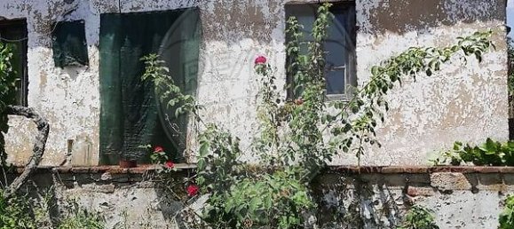 3 bedrooms House in Abrantes, Portugal No. 24985 2