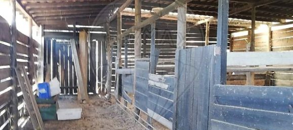 3 bedrooms House in Abrantes, Portugal No. 24985 4