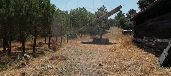 3 bedrooms House in Abrantes, Portugal No. 24985 7