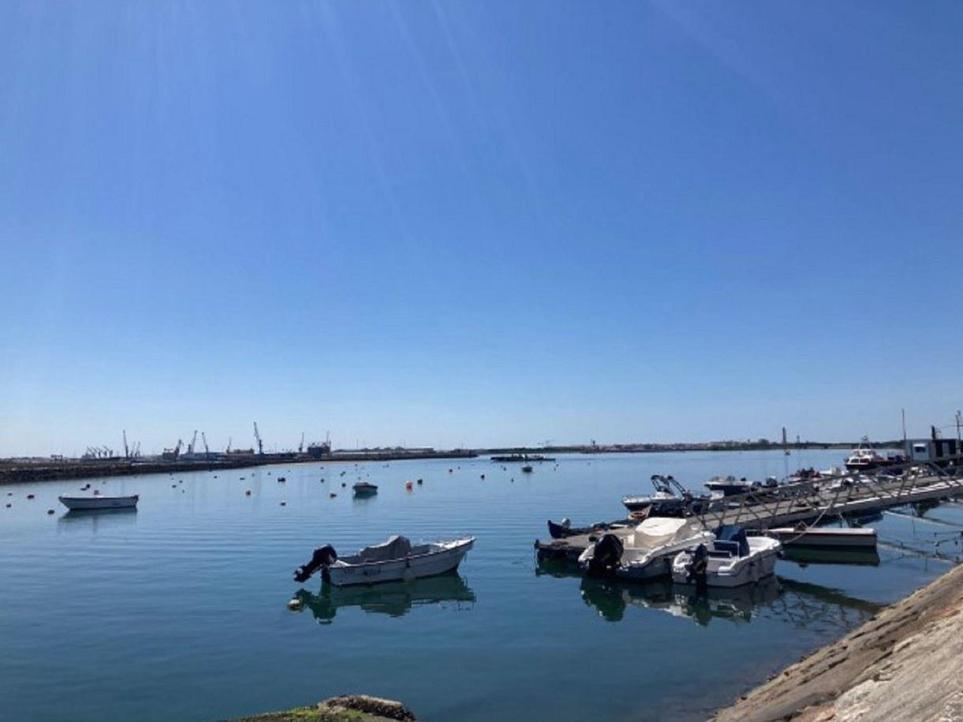 408m² Land in Sao Jacinto, Portugal No. 291486