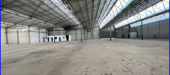 2646m² Warehouse in Santomera, Spain No. 124055 14