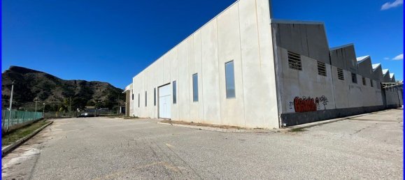 2646m² Warehouse in Santomera, Spain No. 124055 23