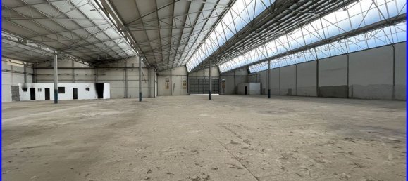 2646m² Warehouse in Santomera, Spain No. 124055 20