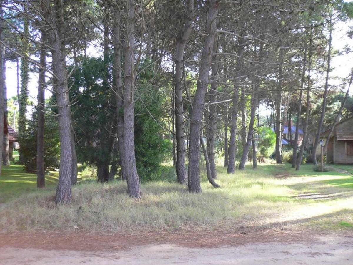  Land in Mar del Plata, Argentina No. 118854