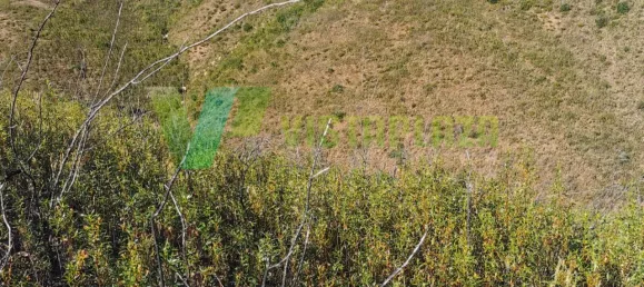 قطعة أرض في Alferce, Portugal 55920متر مربع رقم 64347 3