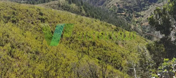 قطعة أرض في Alferce, Portugal 55920متر مربع رقم 64347 11