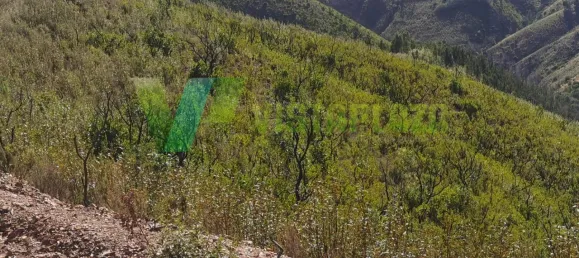 قطعة أرض في Alferce, Portugal 55920متر مربع رقم 64347 6