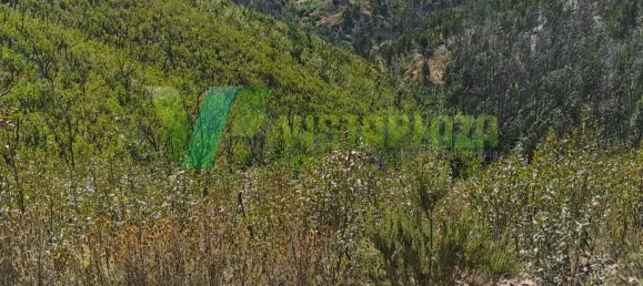 قطعة أرض في Alferce, Portugal 55920متر مربع رقم 64347 5