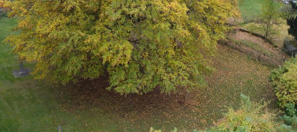 2 Schlafzimmer Wohnung in Kassel, Germany, Nr. 368218 16