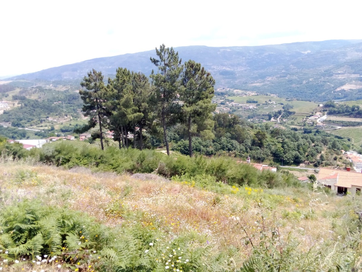 Grundstück in Santa Marinha do Zezere, Portugal, Nr. 56175