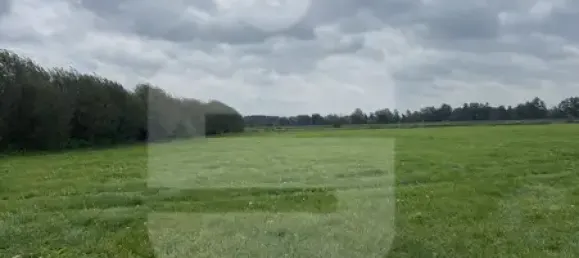  قطعة أرض في Nienburg, Germany رقم 168321 2