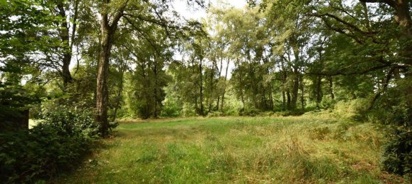 Terreno em Stormarn, Germany N.º 353220 7