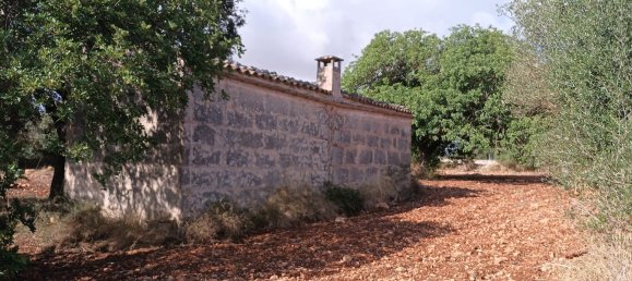 Terreno em Petra, Spain N.º 186543 7