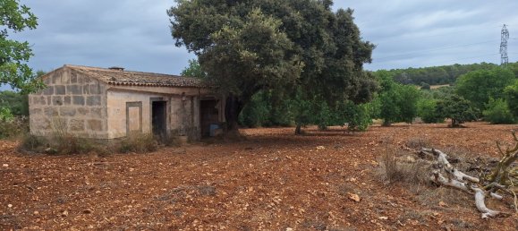Terreno em Petra, Spain N.º 186543 2