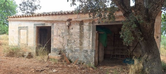 Terreno em Petra, Spain N.º 186543 3