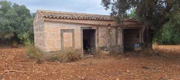 Terreno em Petra, Spain N.º 186543 4