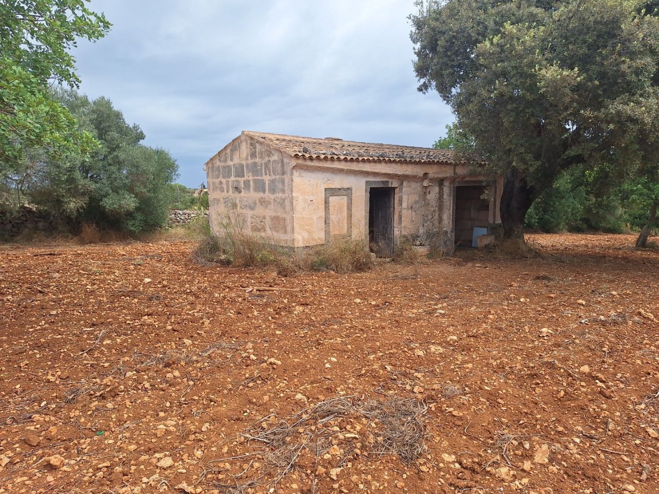 Земельный участок в Петра, Испания № 186543