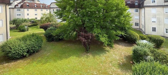 3-salle Appartement à Tulln an der Donau, Austria No. 236656 13