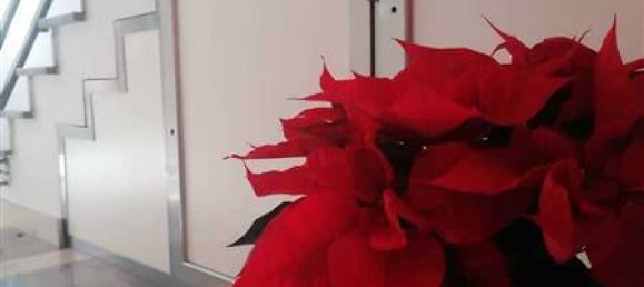 1 غرف نوم شقة في Palermo, Italy رقم 45019 18