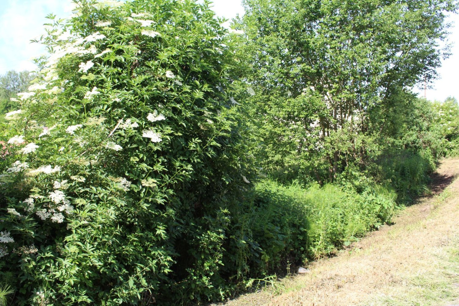 Grundstück in Soissons, France, Nr. 95334