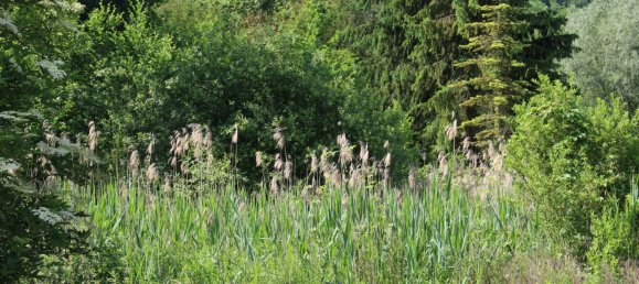 Grundstück in Soissons, France, Nr. 95334 2