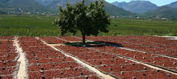 3 bedrooms Villa in Lliber, Spain No. 13085 25