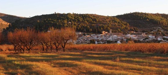 3 bedrooms Villa in Lliber, Spain No. 13085 27