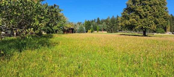  Land in Wenigzell, Austria No. 116085 5