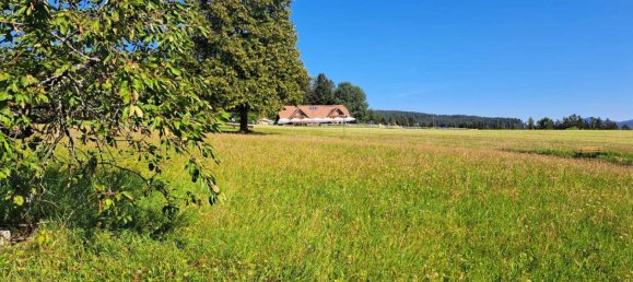  Land in Wenigzell, Austria No. 116085 7